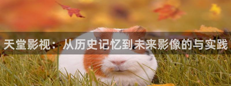 精东影业app传媒最新2022：天堂影视：从历史记忆到未来影像的与实践