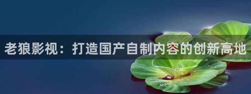 精东影视传媒视频：老狼影视：打造国产自制内容的创新高地