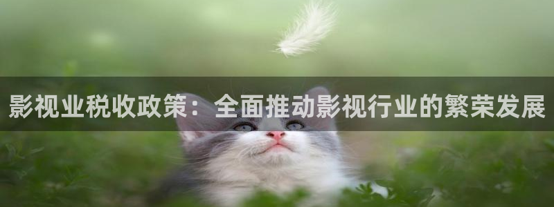 精东影业 国产精品：影视业税收政策：全面推动影视行业的繁荣发展