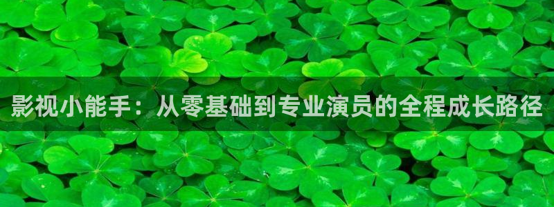精东影业麻豆天美星空：影视小能手：从零基础到专业演员的全程成长路径