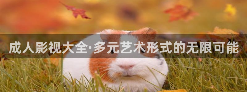 精东影业有限公司：成人影视大全·多元艺术形式的无限可能