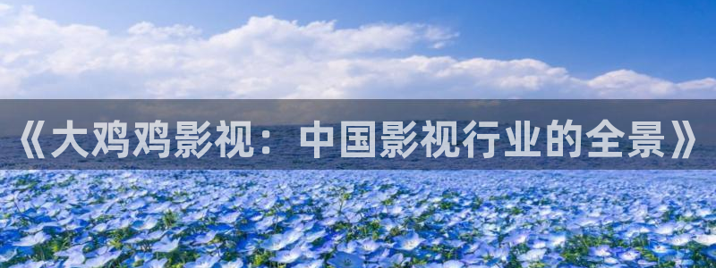 精东影视：《大鸡鸡影视：中国影视行业的全景》